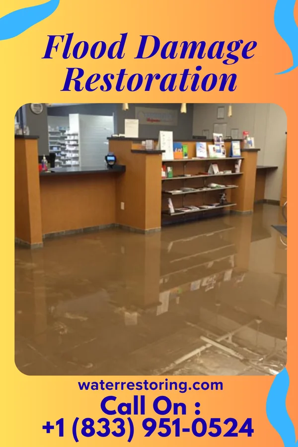 Flood Damage Restoration in Morton, IL