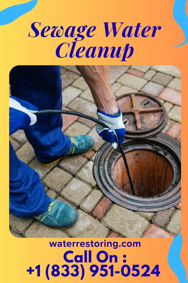 Sewage Water Cleanup in Morton, IL